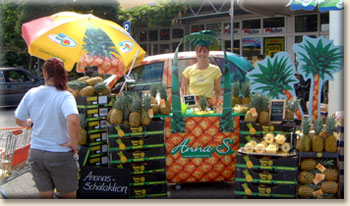 Bilder der Promotion Referenzen ansehen